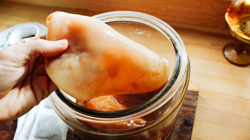 What Is A Kombucha SCOBY