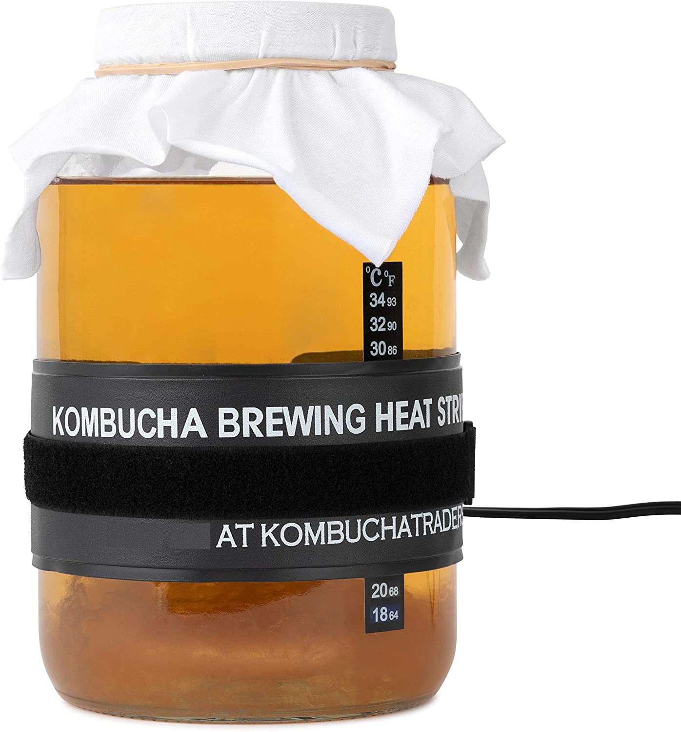 kombucha kit